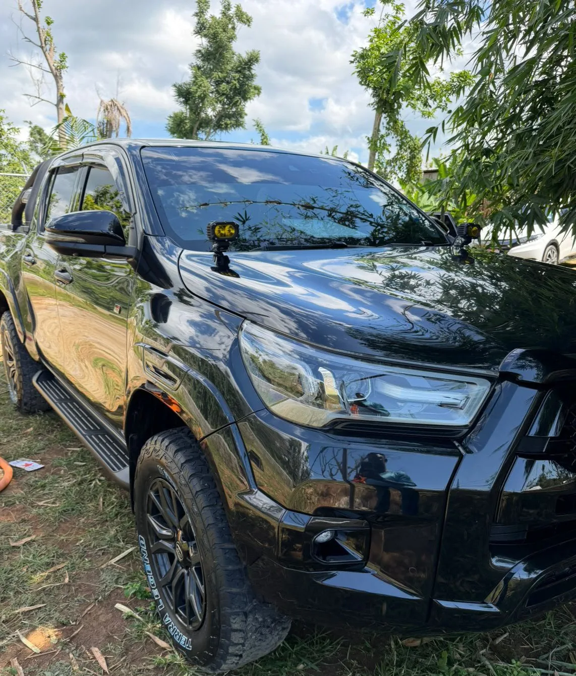 High-gloss black pickup after detailing