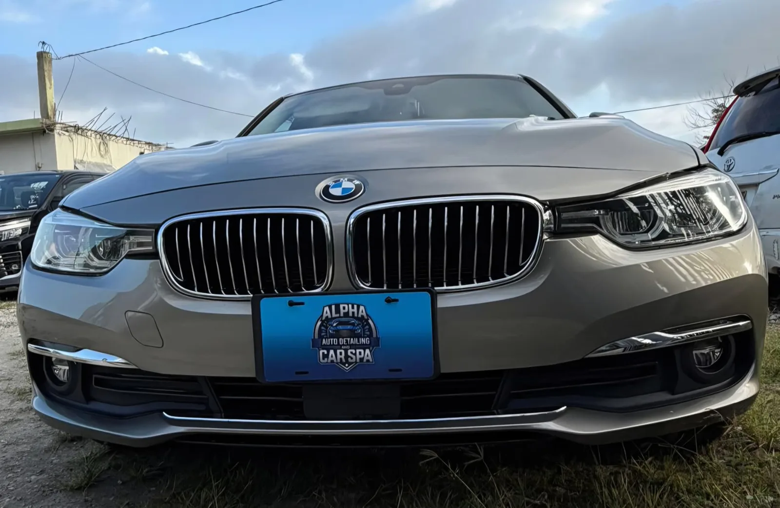 Detailed BMW front finish with Alpha plate